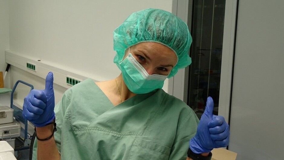Asistencia pri experimentálnych chirurgických zákrokoch na králikoch